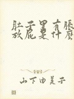 肚子里有胀气总放屁是什么原因