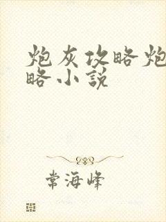 炮灰攻略炮灰攻略小说