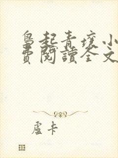 枭起青壤小说免费阅读全文无删减