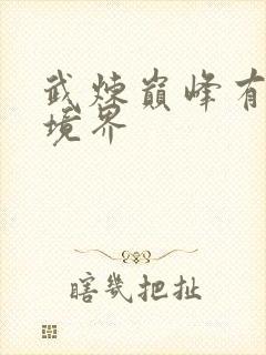 武炼巅峰有多少境界