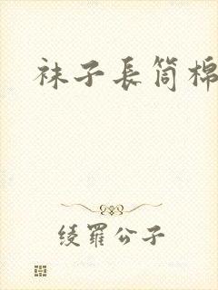 袜子长筒棉封面