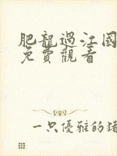 肥龙过江国语版免费观看封面