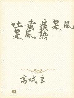 吐黄痰是风寒还是风热