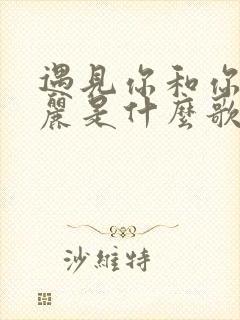 遇见你和你的美丽是什么歌封面