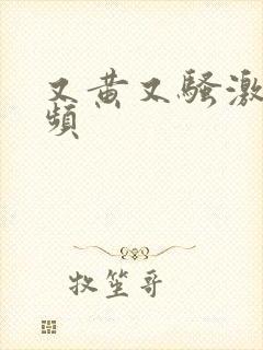 又黄又骚激情视频