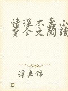 情深不寿小说免费全文阅读封面