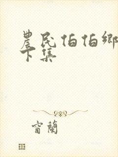 农民伯伯乡下妹下集封面