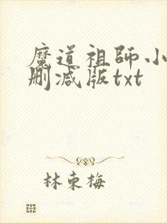 魔道祖师小说无删减版txt
