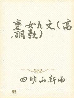 变女h文(高h,调教)