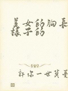 美女的胸长什么样子的