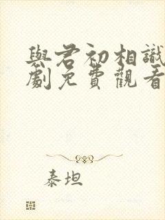 与君初相识电视剧免费观看民当网