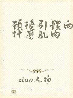 颈后引体向上练什么肌肉