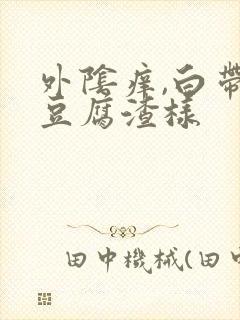 外阴痒,白带黄豆腐渣样