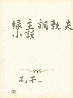 绿主调教夫妻奴小说