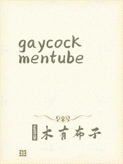 gaycockmentube封面