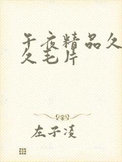 午夜精品久久久久毛片