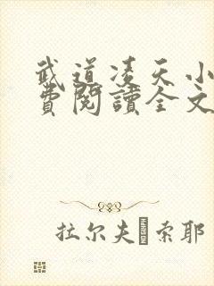 武道凌天小说免费阅读全文