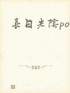 长日光阴po