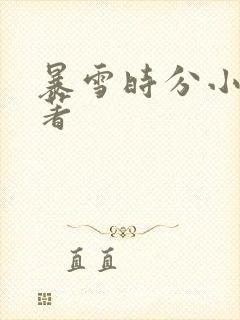 暴雪时分小说原著封面