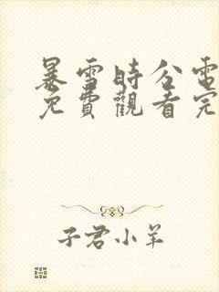 暴雪时分电视剧免费观看完整版封面