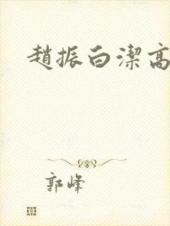 赵振白洁高义封面