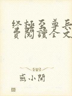 终极至尊兵王免费阅读全文封面