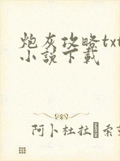 炮灰攻略txt小说下载