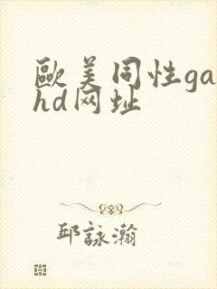 欧美同性gayhd网址