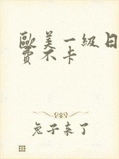 欧美一级日韩免费不卡