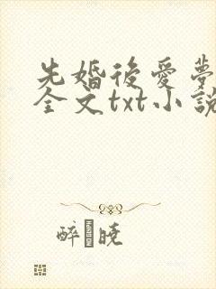 先婚后爱梦筱二全文txt小说下载