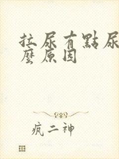 拉尿有点尿痛什么原因