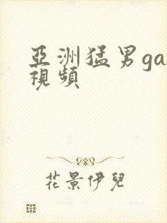 亚洲猛男gay视频