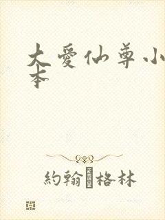 大爱仙尊小说完本