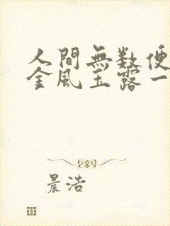 人间无数便胜却金风玉露一相逢什么意思