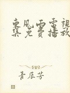 东风雨电视剧全集免费播放在线观看