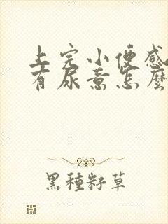 上完小便感觉还有尿意怎么回事