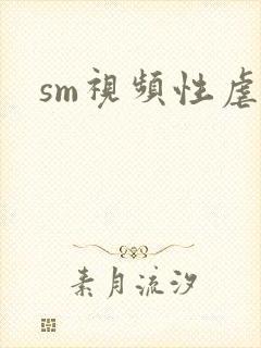sm视频性虐封面