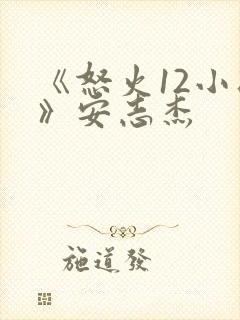 《怒火12小时》安志杰