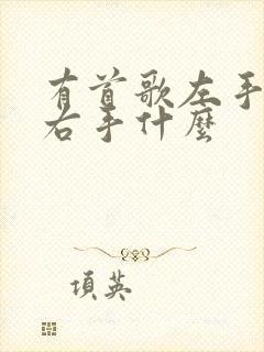 有首歌左手什么右手什么