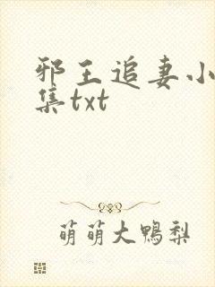 邪王追妻小说全集txt封面