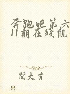 奔跑吧第六季第11期在线观看