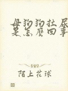 母狗狗拉尿带血是怎么回事封面