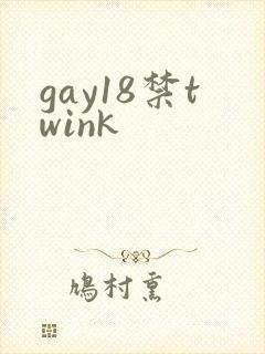gay18禁twink