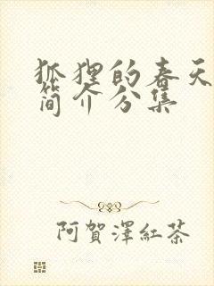 狐狸的春天剧情简介分集