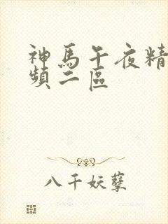 神马午夜精品视频二区