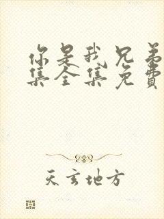 你是我兄弟36集全集免费观看