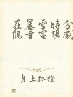 在暴雪时分免费观看电视剧完整版