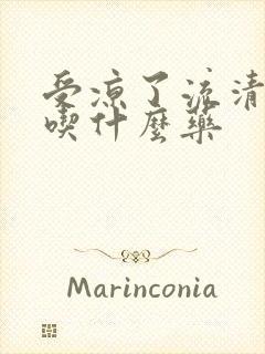 受凉了流清鼻涕吃什么药封面