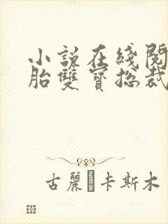 小说在线阅读一胎双宝总裁爹地超凶猛