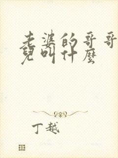 老婆的哥哥的女儿叫什么封面